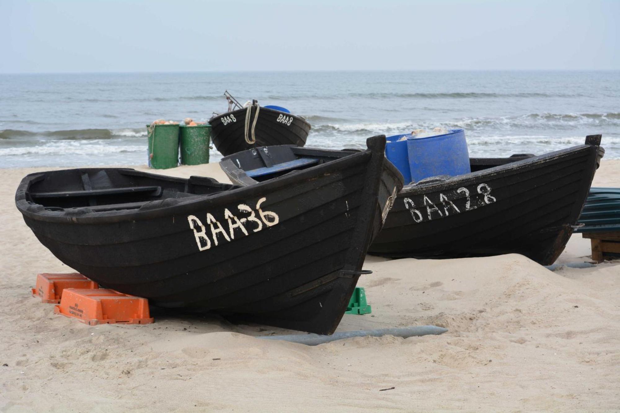 Sanddorn - Strandpark - Ca. 80m Strand Baabe